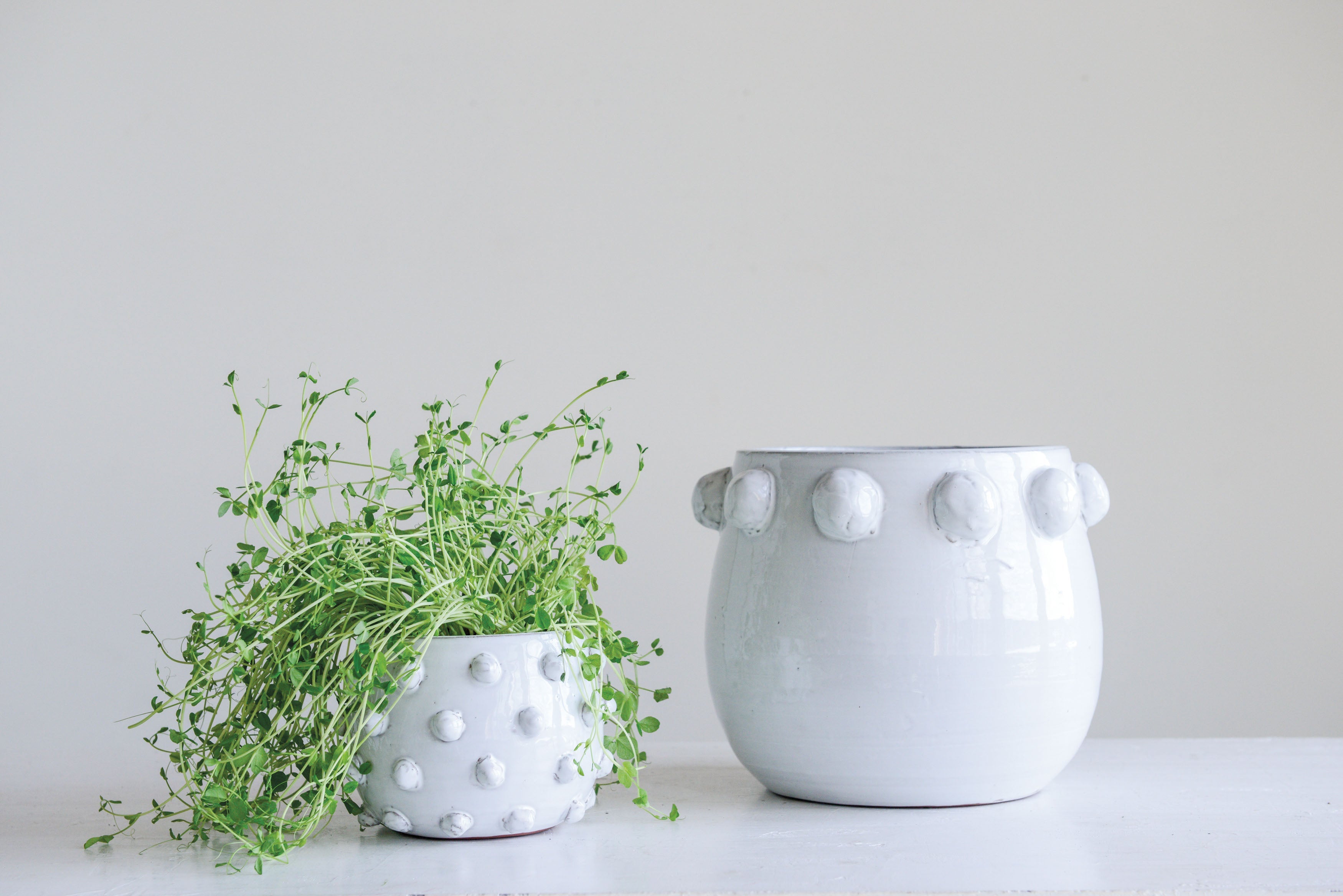 Not So Basic - Beaded Pot