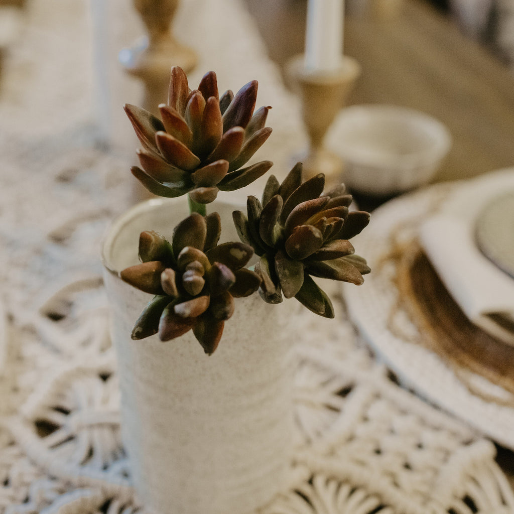 Agave Stems