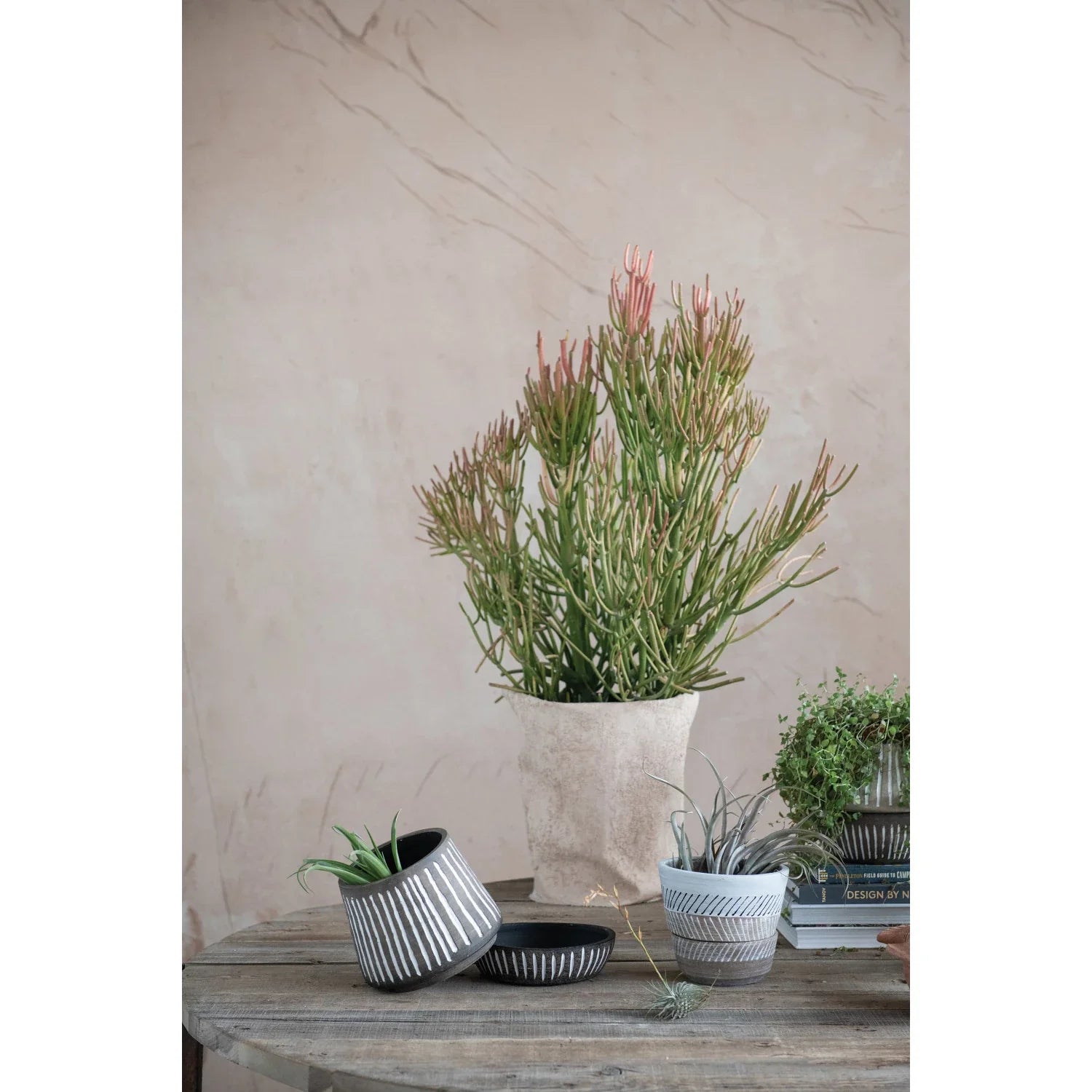 Hand-Painted Striped Debossed Planter and Saucer Set
